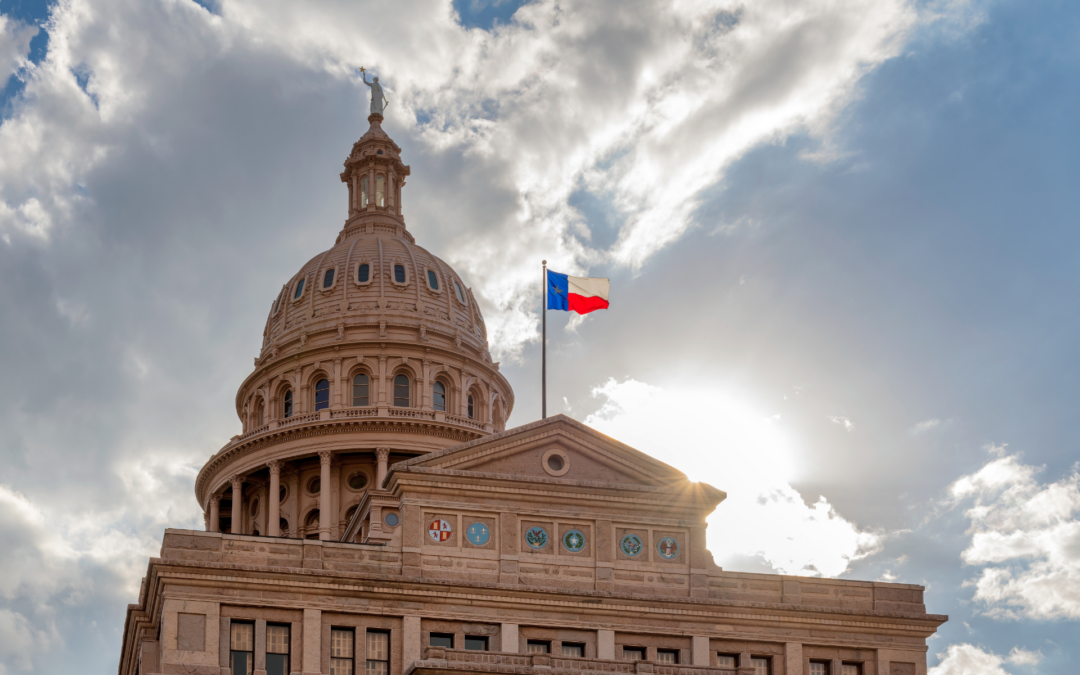 Shaping the Future of Mental Health Policy in Texas